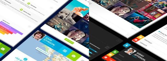 Online Resume WordPress Themes
