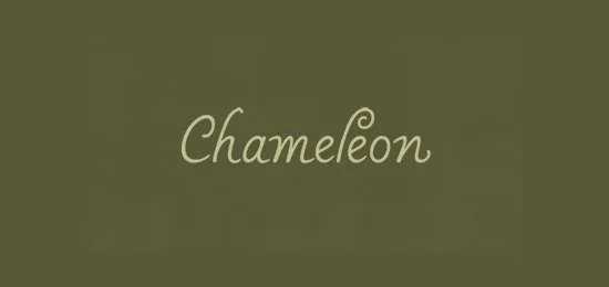 35-beautiful typography logos beautiful typography logos