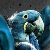 Helpful advices for beginner designers
