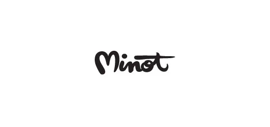 Minot collection of 46 beautiful logos using handwriting fonts
