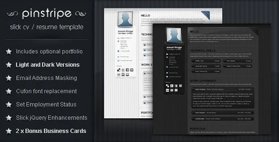 Pinstripe - Premium Resume / CV Template Beautiful Resume Templates