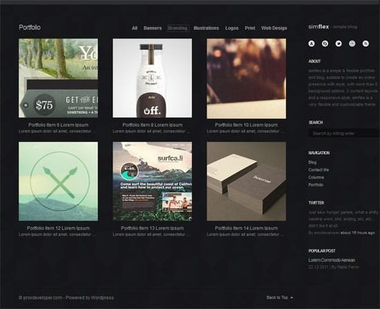 WordPress Gallery Themes