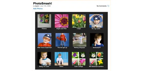 PhotoSmash Galleries WordPress Gallery Plugins