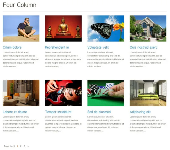 TS Display - Portfolio and Gallery Plugin WordPress Gallery Plugins