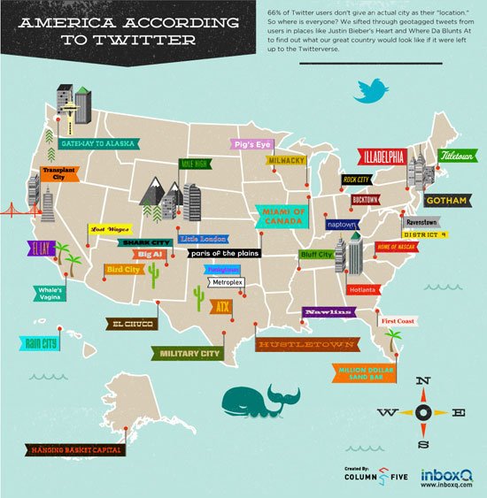 twitter infographics