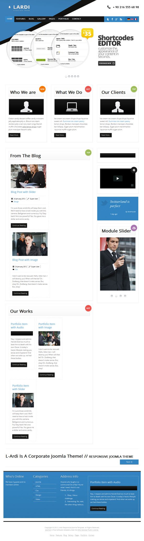 Professional Business Website Templates