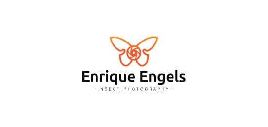 Butterfly Logo