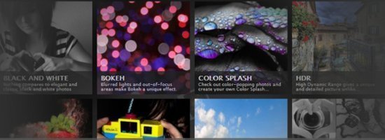 Tips Photography Website Template