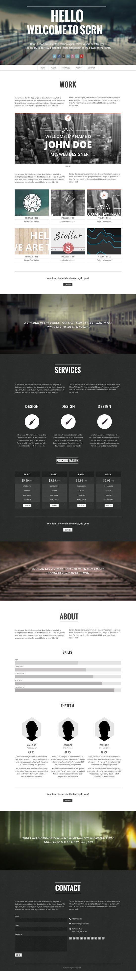 WordPress Portfolio Themes