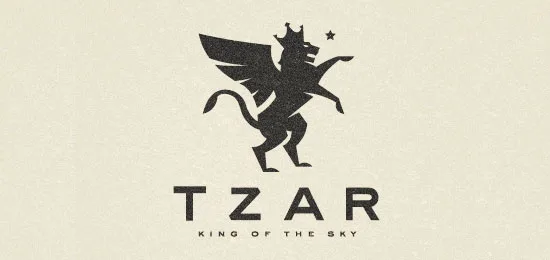 Amazing Lion Logos