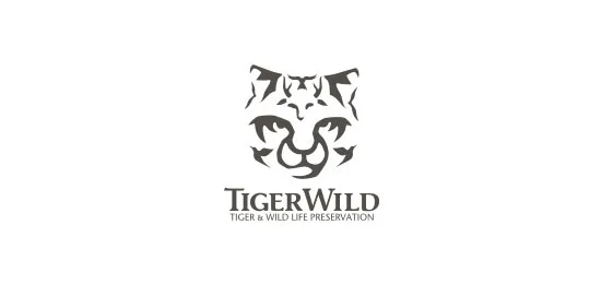 Amazing Lion Logos