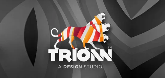 Amazing Lion Logos