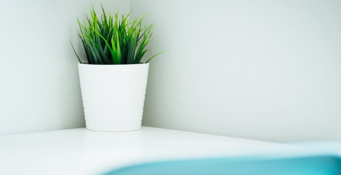 Top 5 Companies with Green Marketing Campaign