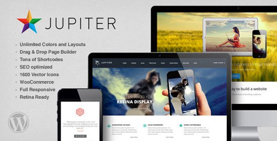 Best WordPress Themes