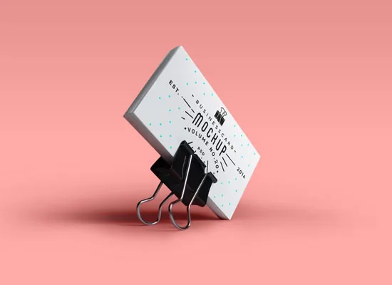 Business Card Mockups