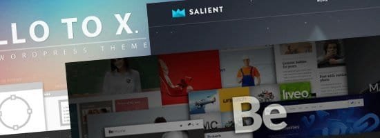 Multipurpose WordPress Themes