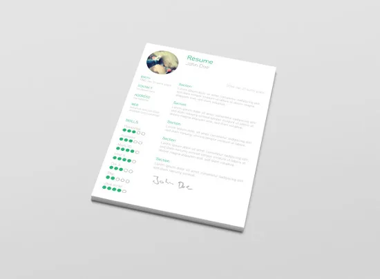 Free Resume Template