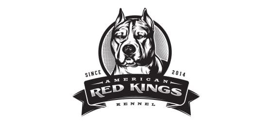 Best Logo Designs