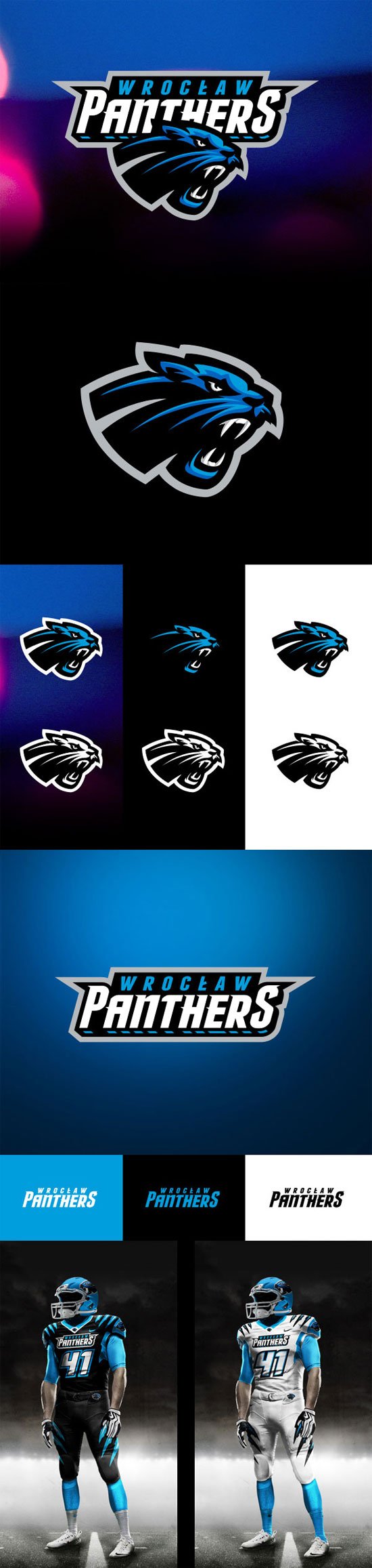 Sports Logo Designs