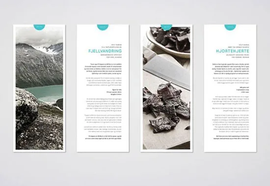 Brand Identity Designs