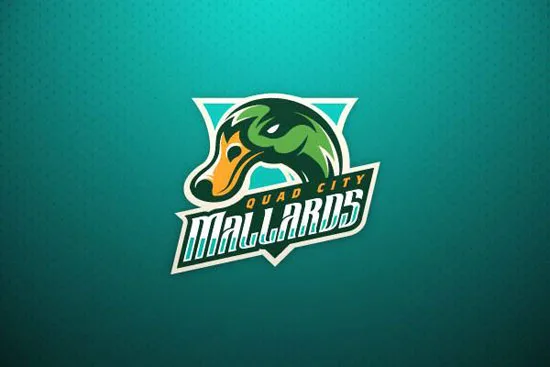 Brand Identity Designs