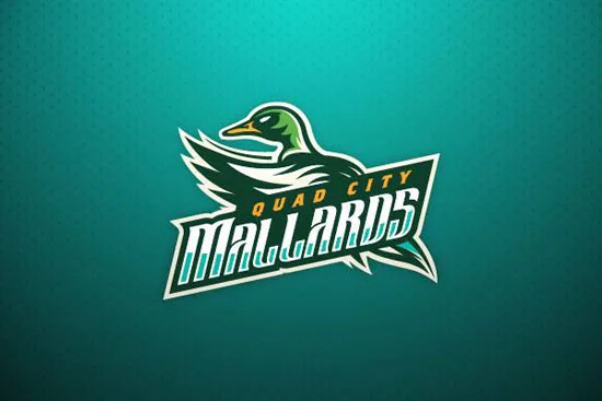Brand Identity Designs