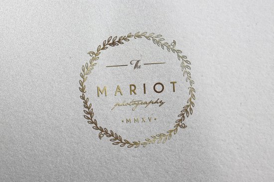 Elegant & Classy Gold Logo by Little Pines