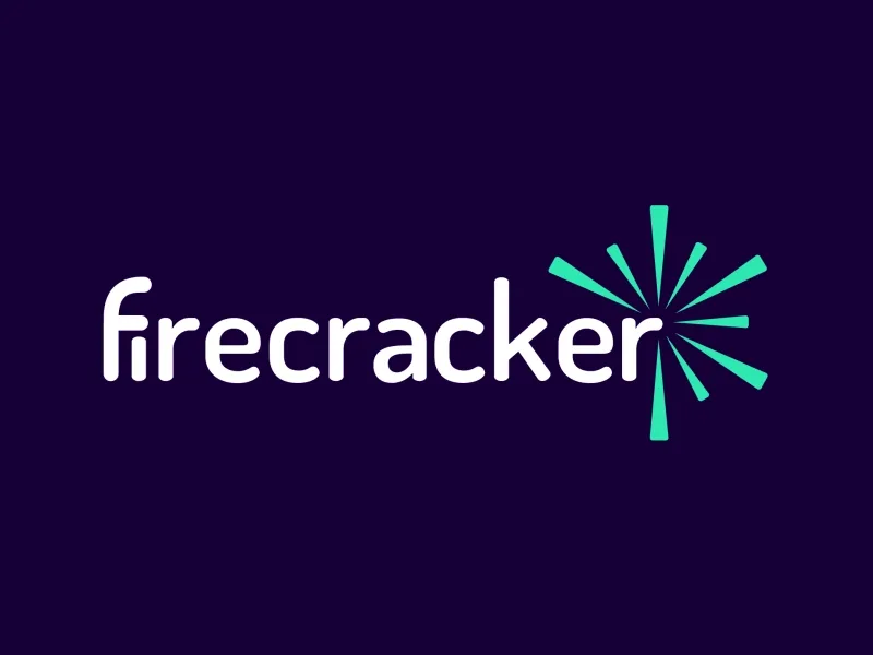 Firecracker Logo Animation by Latham Arnott