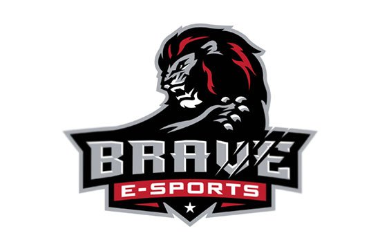 BRAVE eSPORTS by Slavo Kiss