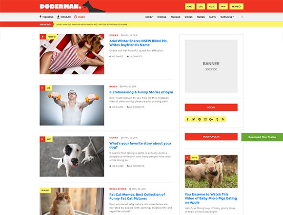 Doberman - Magazine WordPress Theme