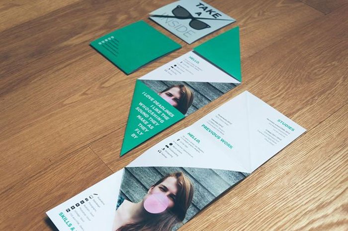 Resume Design by Amber Van Mieghem