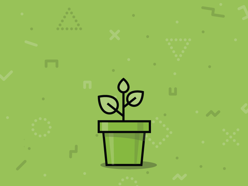 Tips On Creating And Growing A Personal Brand