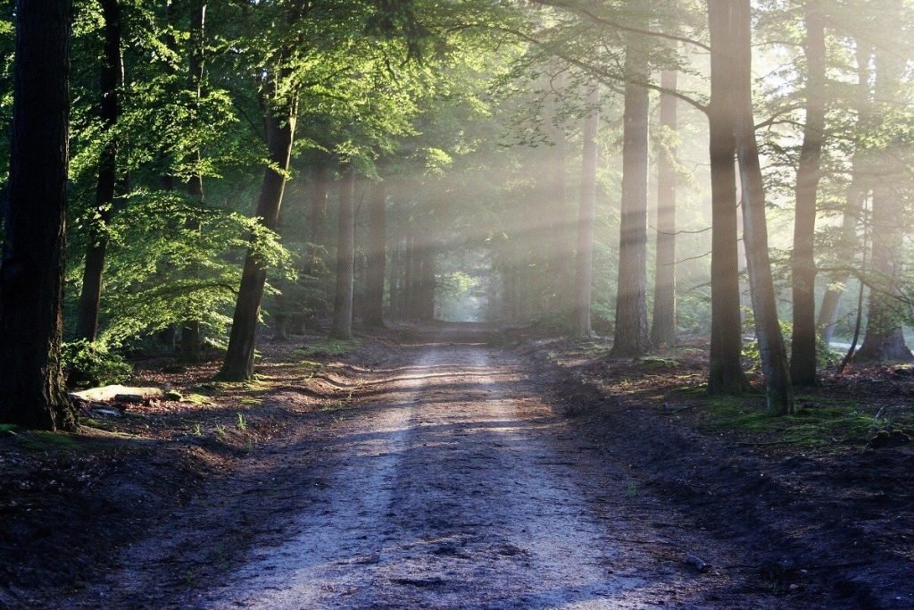 Morning Rituals that Help You Become More Successful as an Entrepreneur