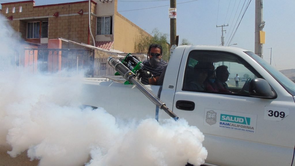 Boost leads and sales for your pest control business