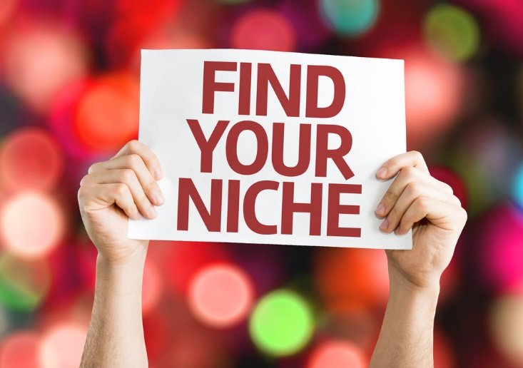 9 Highly Profitable Niches For Starting A Blog In College
