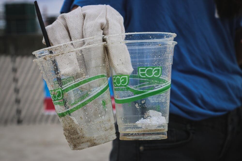 Boost Your Company’s Eco-Friendly Image through Green Branding