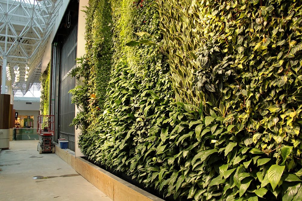 The 20 Benefits Of Business Buildings With Vertical Green Walls