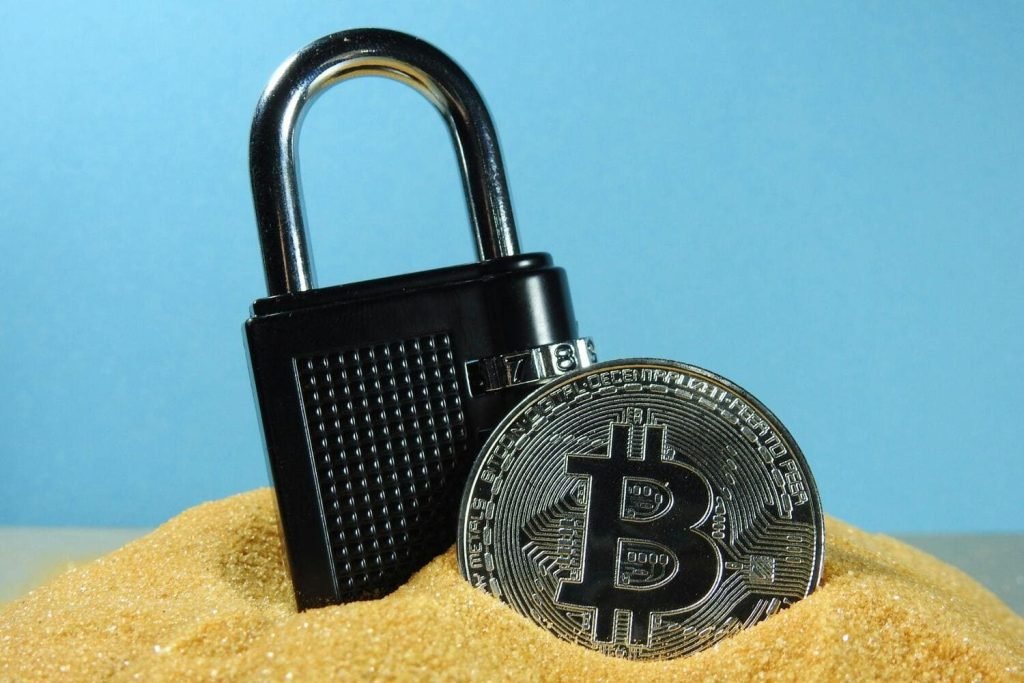 Crypto Chronicles: Journeying Through the Maze of Digital Protection