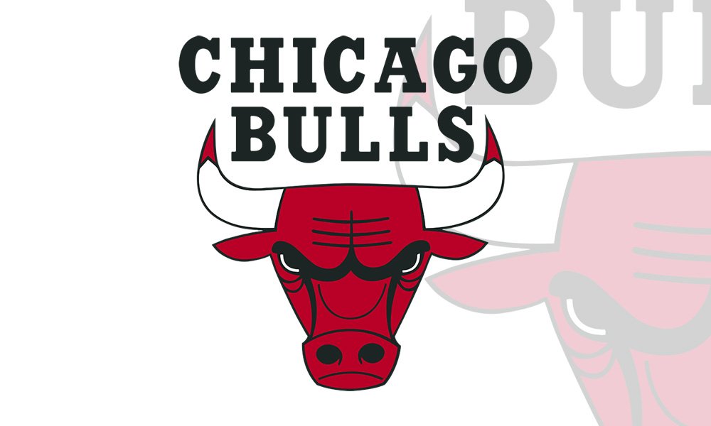 Chicago Bulls Logo