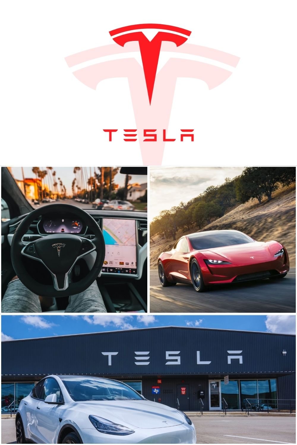 Famous Car Brands: Tesla