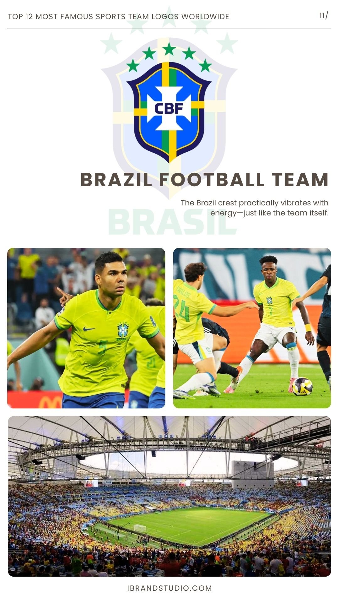 Brazil National Football Team Logo