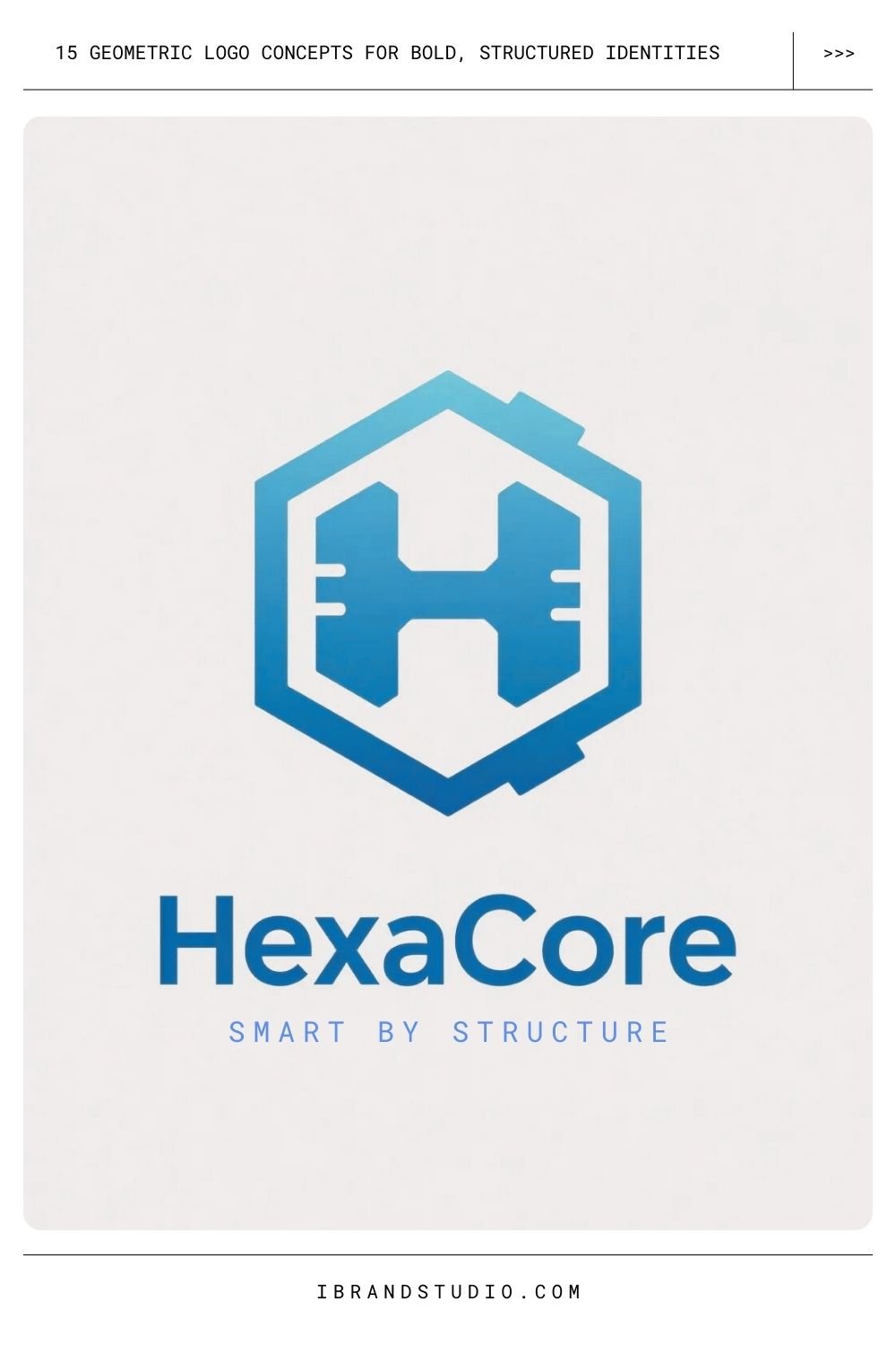 Geometric Logo Concepts: Hexagon Logos