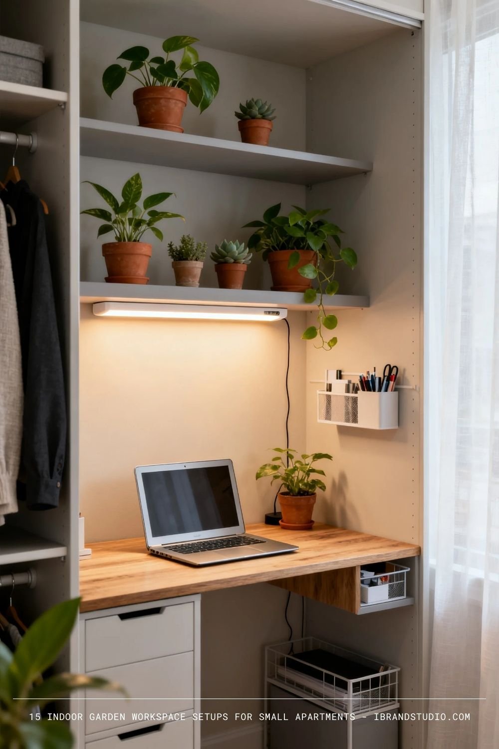 Closet Office with Indoor Plants