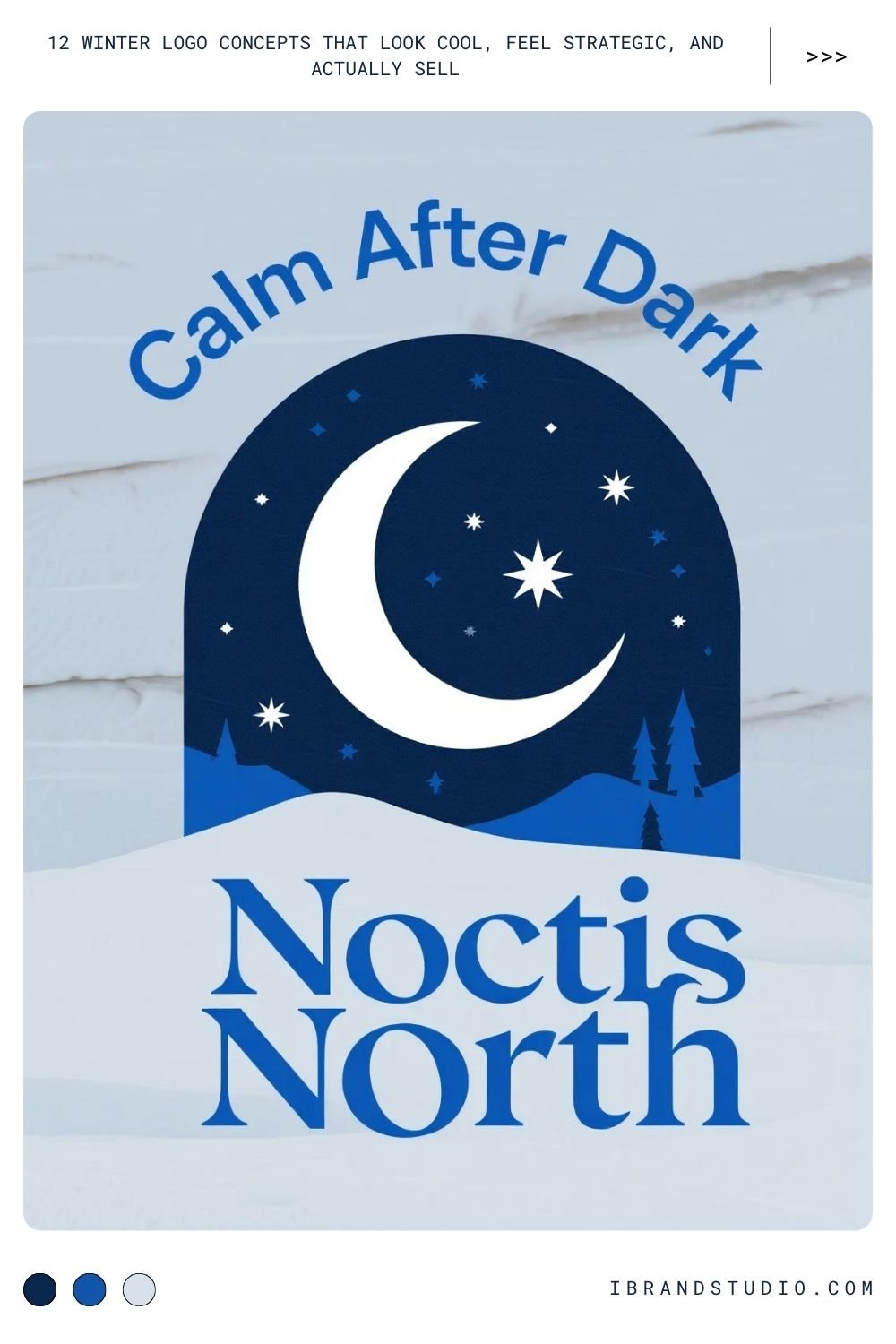 Winter Night Sky Logo