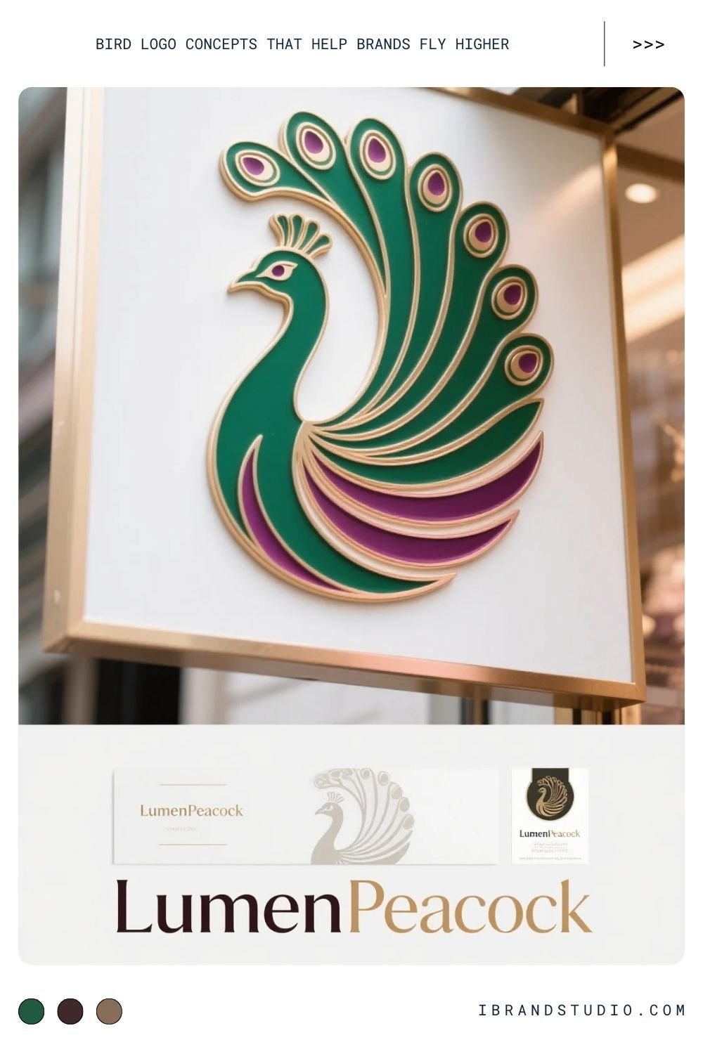 Peacock Logo Concept – Beauty, Confidence, Luxury