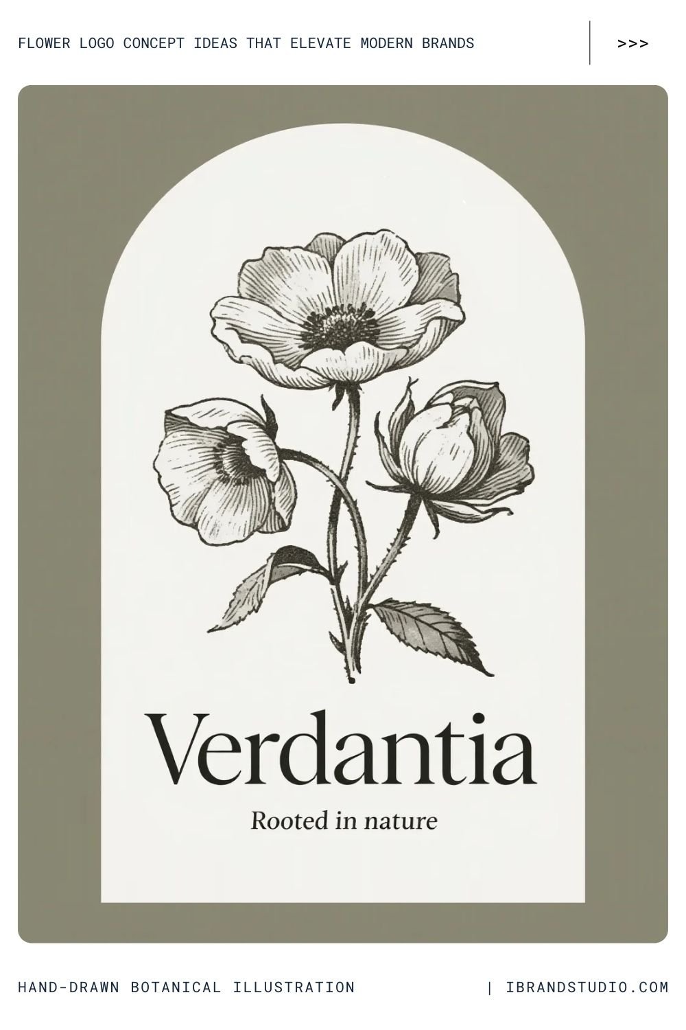 Hand-Drawn Botanical Illustration