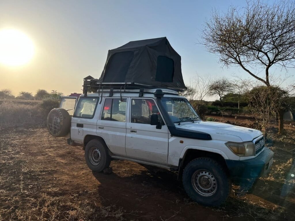 Tanzania Wildlife Private Safari